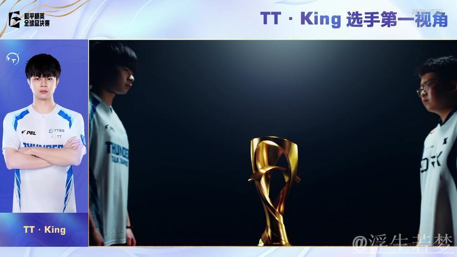 2025PMGC决赛第二天：TT-King第一视角（LGD-猫猫助阵）